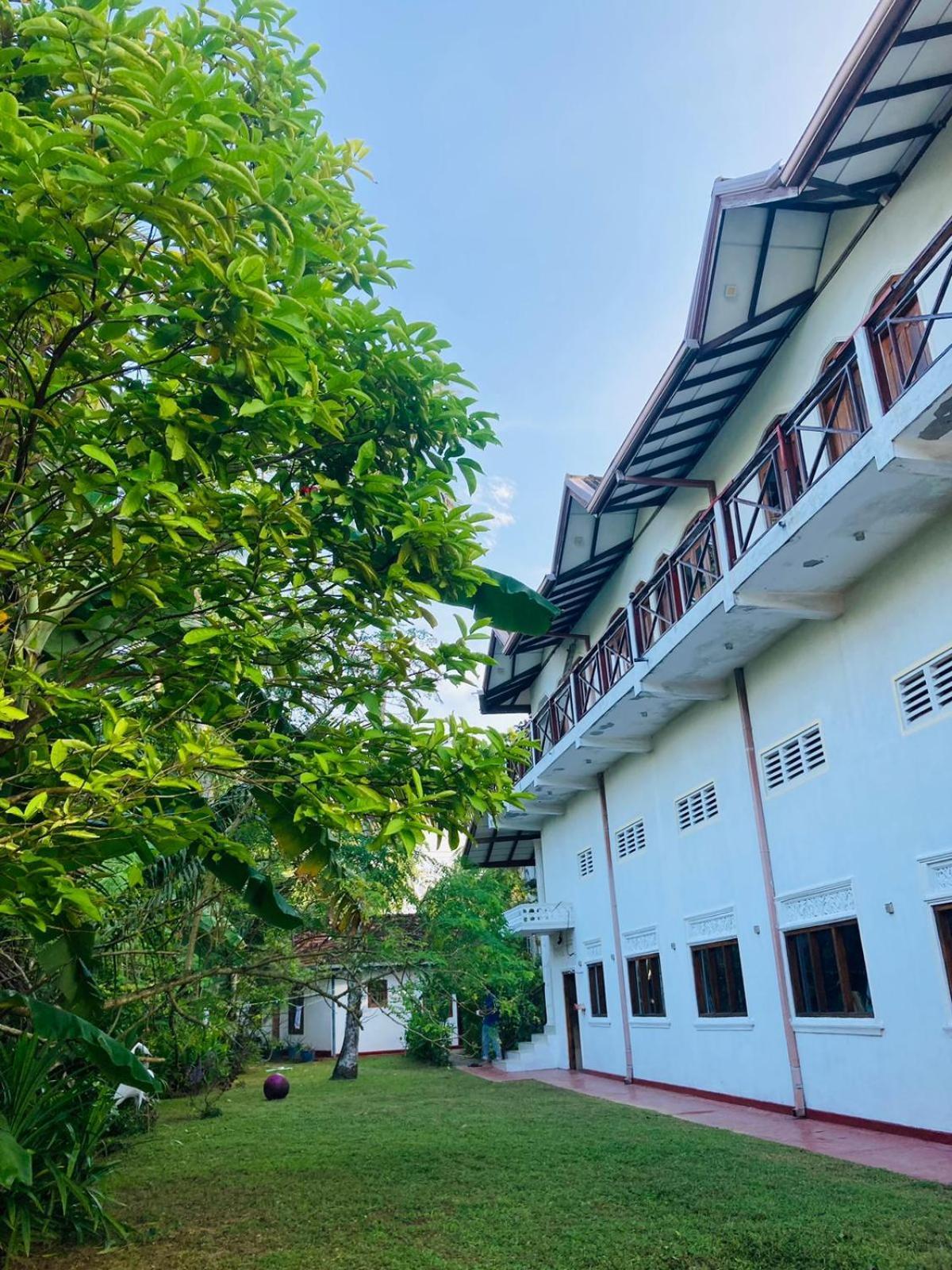 Skywalker Guest House Weligama Buitenkant foto